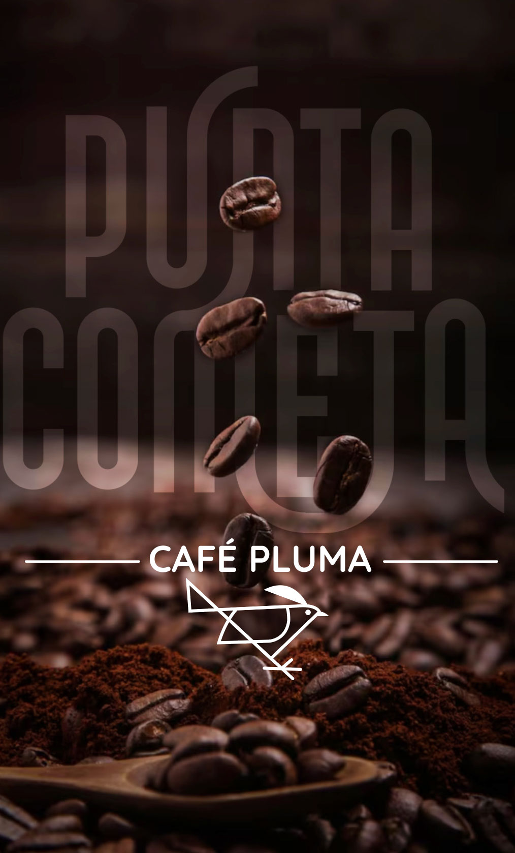 Póster vertical de Café Pluma con el lettering de Punta Cometa y el logotipo de la urraca sobre granos de café cayendo