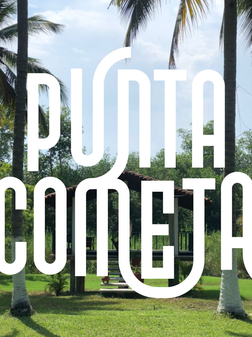 Póster vertical con el lettering grande y blanco de Punta Cometa sobre un jardín con palmeras
