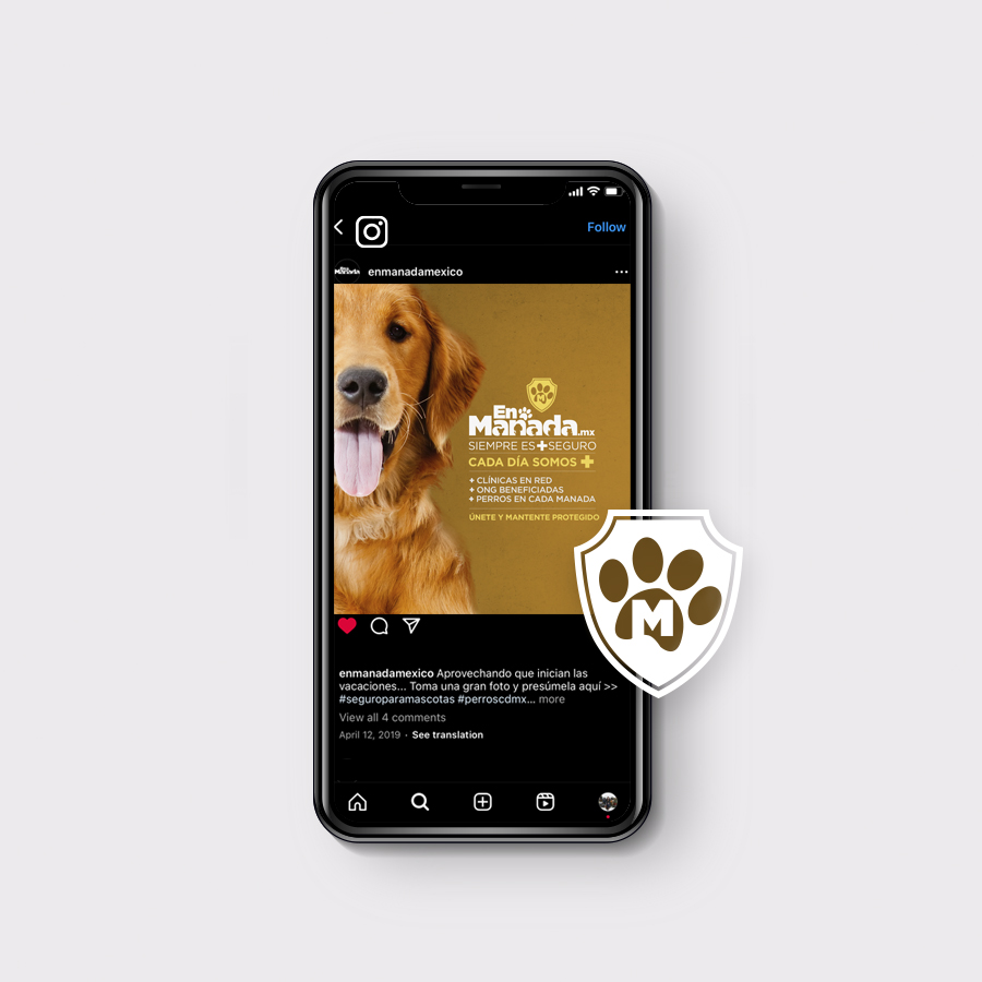 Teléfono con una publicación de Instagram de En Manada con un golden retriever y el escudo con huella de pata
