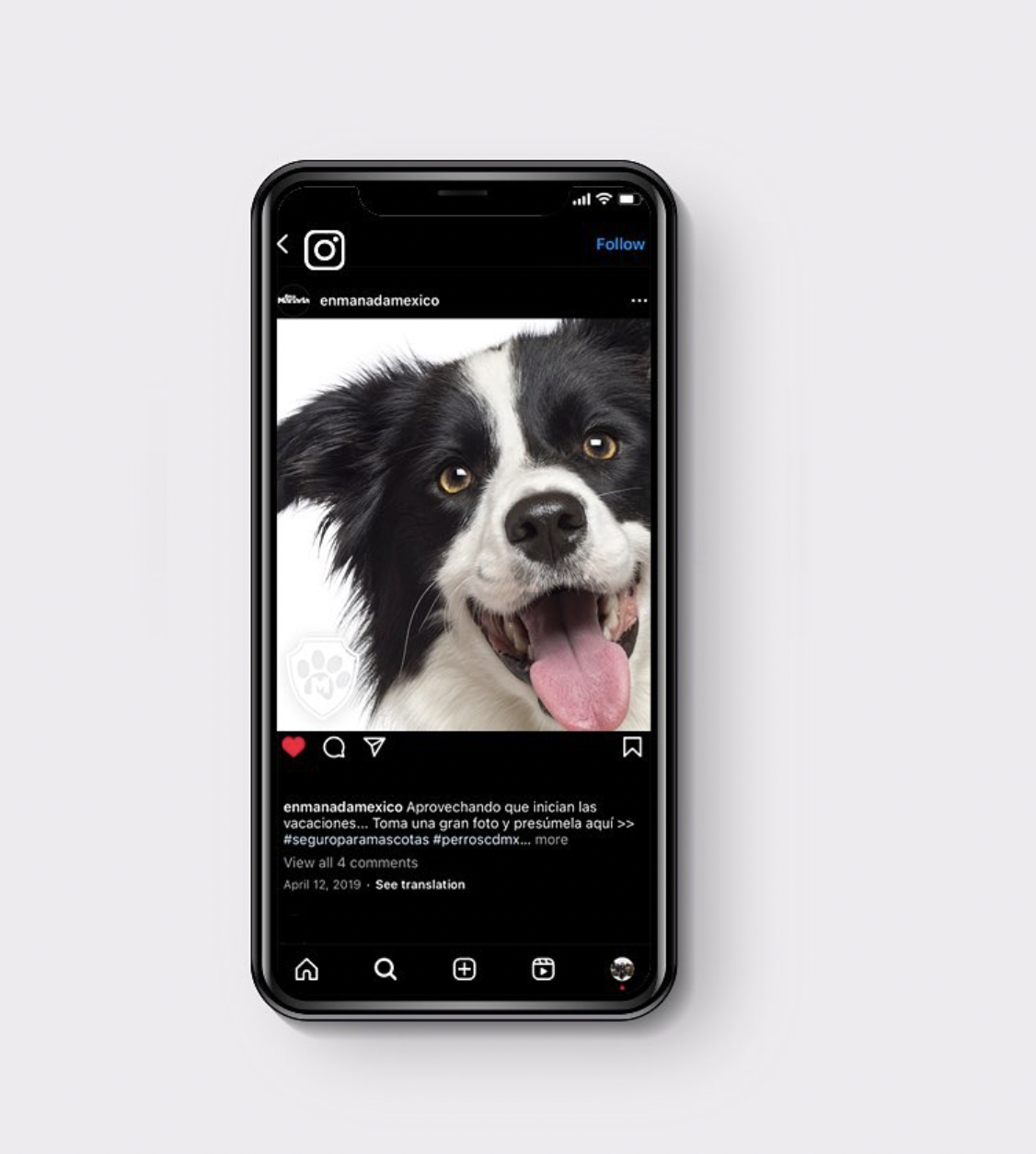 Teléfono con una publicación de Instagram de En Manada con un primer plano de un border collie
