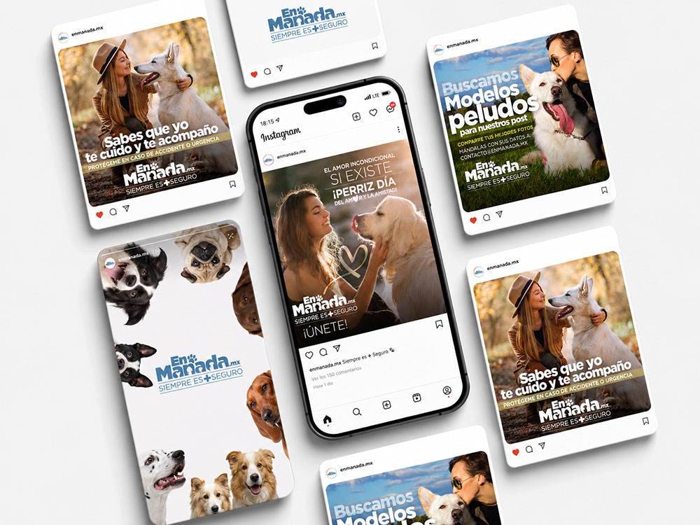 Maqueta de publicaciones de Instagram de En Manada con perros y sus dueños