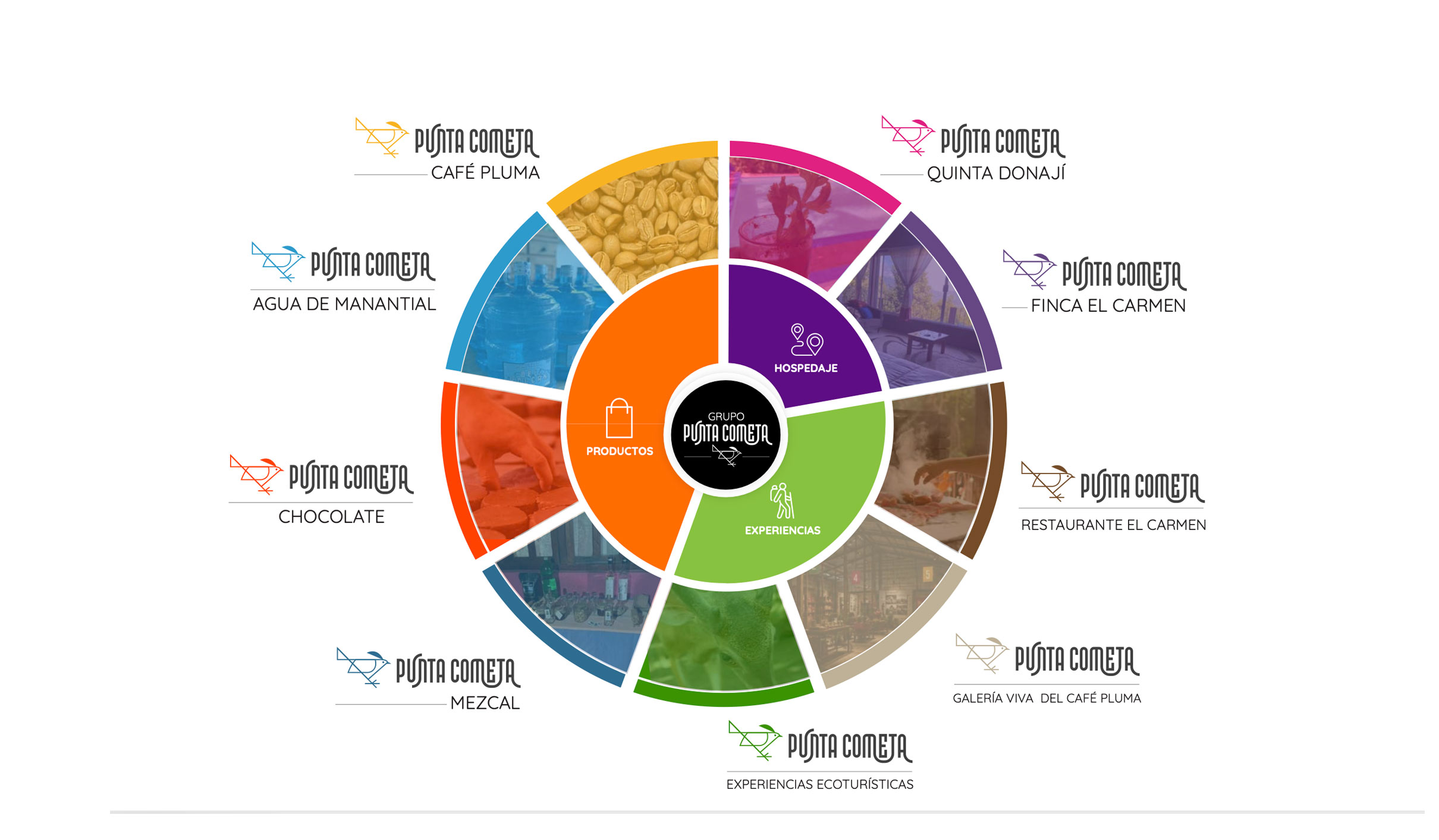 Rueda de arquitectura de marca de Punta Cometa en tres áreas — productos, hospitalidad y experiencias — con el logotipo de cada submarca: Café Pluma, Agua de Manantial, Chocolate, Mezcal, Quinta Donajil, Finca El Carmen y más
